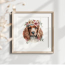 Suche nach irish setter poster Haustier