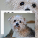 Suche nach traurige augen postkarten Vermisst