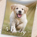 Suche nach golden retriever decken Hundemutter