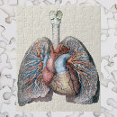 Suche nach medizin puzzle Anatomie