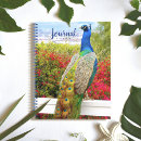 Suche nach federn kleine notizbücher Bunt