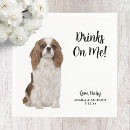 Suche nach cocker spaniel foto Modern