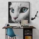 Suche nach albino poster Katze