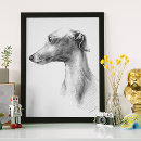 Suche nach whippet poster Greyhound