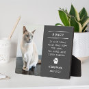 Suche nach haustierartikel Katzen