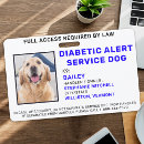 Suche nach hund Für haustiere