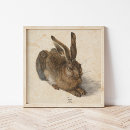 Suche nach albrecht dürer poster Kaninchen