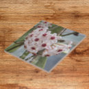 Suche nach pflanze fliesen Jede person