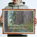 Suche nach john muir zitate poster Wälder