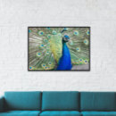 Suche nach blauer pfau poster Jede person