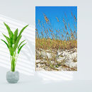 Suche nach vacation poster Strand