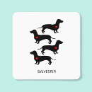 Suche nach dachshund aufkleber Jede person