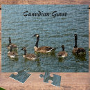 Suche nach gänse puzzle Jede person