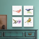Suche nach kolibris leinwandbilder Wild lebende tiere