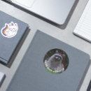 Suche nach waschbären aufkleber Jede person