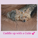 Suche nach yorkshire terrier decken Niedlich