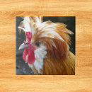 Suche nach geflügel fliesen Jede person