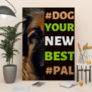 Suche nach leonberger poster Hunde