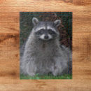 Suche nach waschbär puzzle Jede person