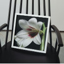 Suche nach trompete blume poster Für alle