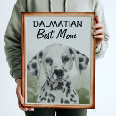 Suche nach dalmatinischer hund poster Hunde