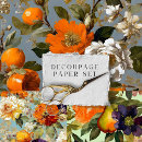 Suche nach französisch geschenkpapier Entmutigen