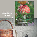 Suche nach rote pilze poster Amanita muscaria