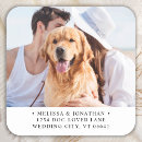 Suche nach kleiner weißer hund aufkleber Einfach