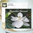 Suche nach magnolienblüten postkarten Für alle