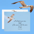 Suche nach möwen postkarten Küste