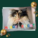 Suche nach funny cat christmas karten Niedlich