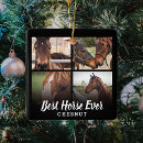 Suche nach pferdeliebhaber ornamente Reiter