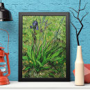 Suche nach iris blume poster Violette blumen