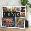 Suche nach hunde fotoplatten Hundemutter