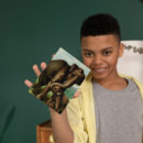 Suche nach kälber postkarten Für kinder