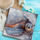 Suche nach schildkröten puzzle Meeresschildkröte