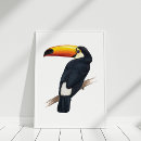 Suche nach toucans poster Wild lebende tiere