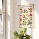 Suche nach vintager pilz poster Für sie