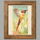 Suche nach vogeldrucke poster Natur