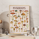 Suche nach mushrooms poster Natur
