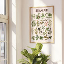 Suche nach vintage pflanze poster Natur