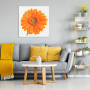 Suche nach gerbera poster Orange
