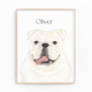 Suche nach englische bulldoggen poster Englischer bulldog