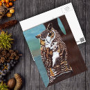 Suche nach baum postkarten Vogelvogel