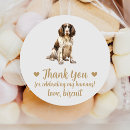 Suche nach englischer springer spaniel aufkleber Für alle