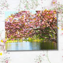 Suche nach volle blüte postkarten Rosa