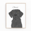 Suche nach schwarzer labrador retriever poster Schwarzes labor