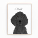 Suche nach irischer setter poster Für alle