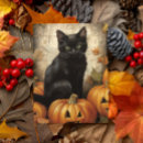 Suche nach vintage katzen postkarten Schwarze katze