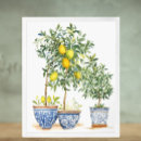 Suche nach lugano poster Botanisch